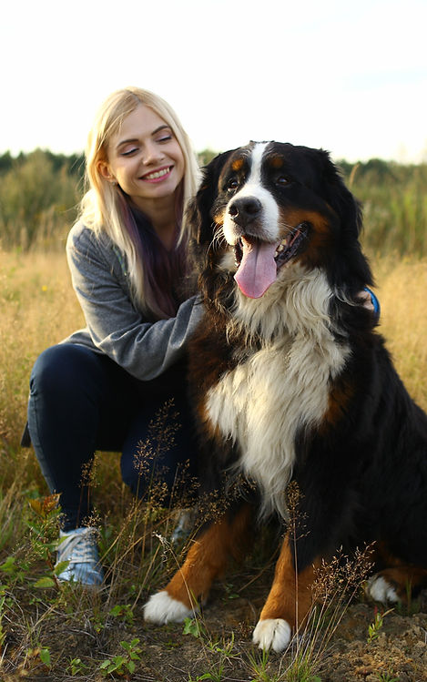 Puppy Training Classes Orange County California