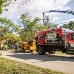 Tree pruning